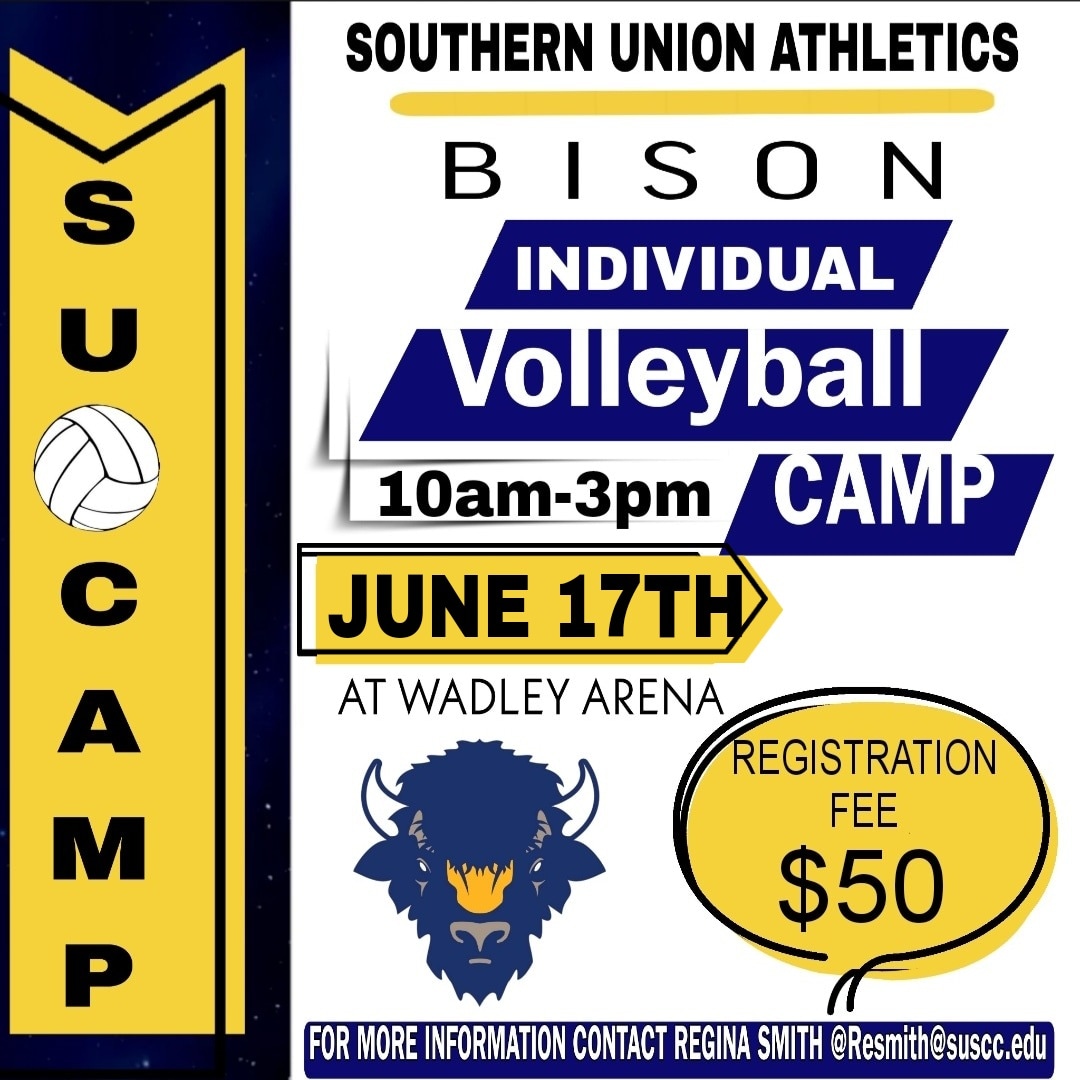 volleyball camp flyer