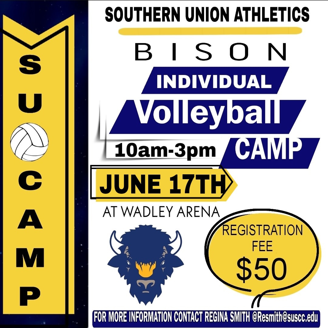 volleyball camp flyer